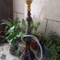 قلیون