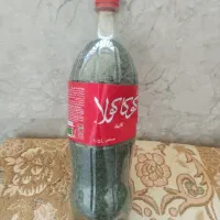 فروش نعنا خشک
