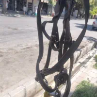 دست جلو نرم اسب