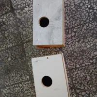 لانه عروس هلندی