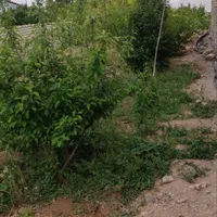 فروش زمین ۲۱۰ متری