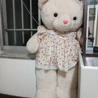 خرس  پاندا