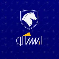 حسابدار خانم در لوازم یدکی