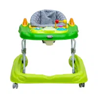 روروئک دلیجان مدل max