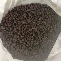 آلبالو خشک تازه