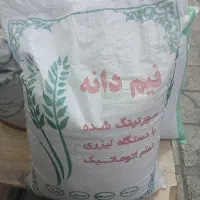 برنج نیم دانه کامفیروزی