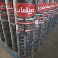 ایزوگام