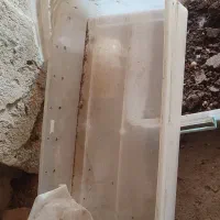 جعبه|ظروف نگهدارنده، پلاستیکی، یک‌بارمصرف|مرند, |دیوار