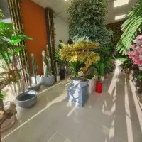 درختچه های مصنوعی وارداتی با بهترین کیفیت