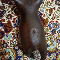 خیگه یا هیزه