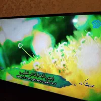 تلویزیون سامسونگ