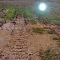 زمین کشاورزی کهنوج