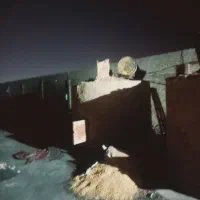 کوره زغال پسته