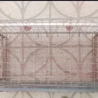 قفس|لوازم جانبی حیوانات|گناباد, |دیوار