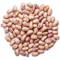 لوبیا چیتی