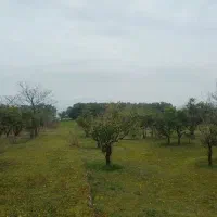 فروش زمین ساحلی ۳۰۰۰متری جنب رومئو