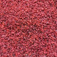 زرشک پفکی اعلاء عمده