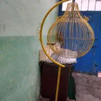 قفس با آویزبرای طوطی وعروس