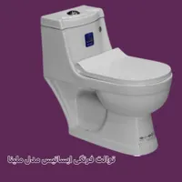 تولید و پخش چینی بهداشتی|لوازم سرویس بهداشتی|همدان, |دیوار