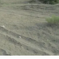زمین بر کمربندی