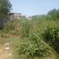 زمین-تجاری-مسکونی