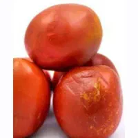 گوجه شکسته مخصوص رب گوجه