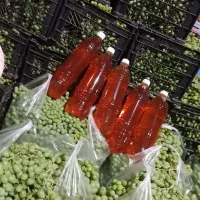 آبغوره|خوردنی و آشامیدنی|خرمآباد, |دیوار