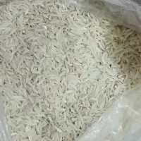 برنج فجر سوزنی  نود روزه