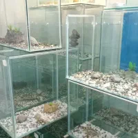 اکواریم برای فروش ماهی وجوجه