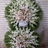 فروش‌ گل‌ وگیاه‌ در‌ فروشگاه‌ رز‌ ایران‌ سعبه‌ ۲