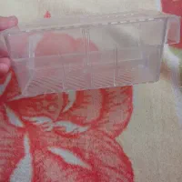 زایشگاه ماهی