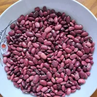 لوبیا محلی مخصوص بذر