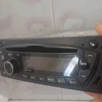ظبط