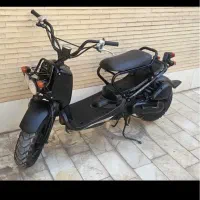 هوندا زومر،پاکشتی