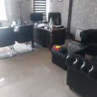 مدیر  فروش خانم  در شرکت آسانسور پارس