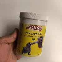 سرلاک عروس هلندی تازه