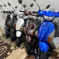 واردات انواع پاکشتی سوزوکی اصل ژاپن