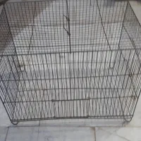 قفس قناری