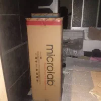 اسپیکر دو قلو میکرو لب