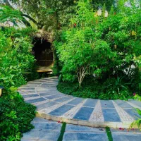 تفریحات گردشگری