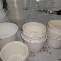 ظروف یک بار مصرف گیاهی و..