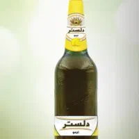 نمایندگی دلستر بهنوش