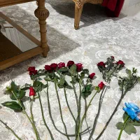 گلدان و گل