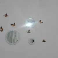 پشتی وایینه