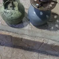 دو عدد پیک نیک سالم و پر