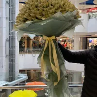پول آرایی /دسته پول