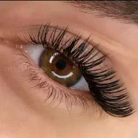 اکستنشن۴۵۰بخاطرروزپدراموزش فقط۹۰۰