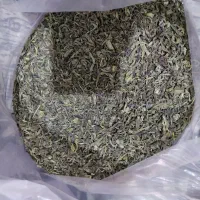 چای سبز