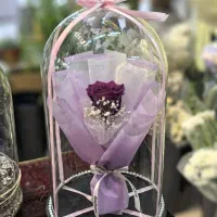 رز جاودان اسپشیال