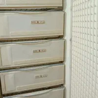 فریزر موتور ژاپن